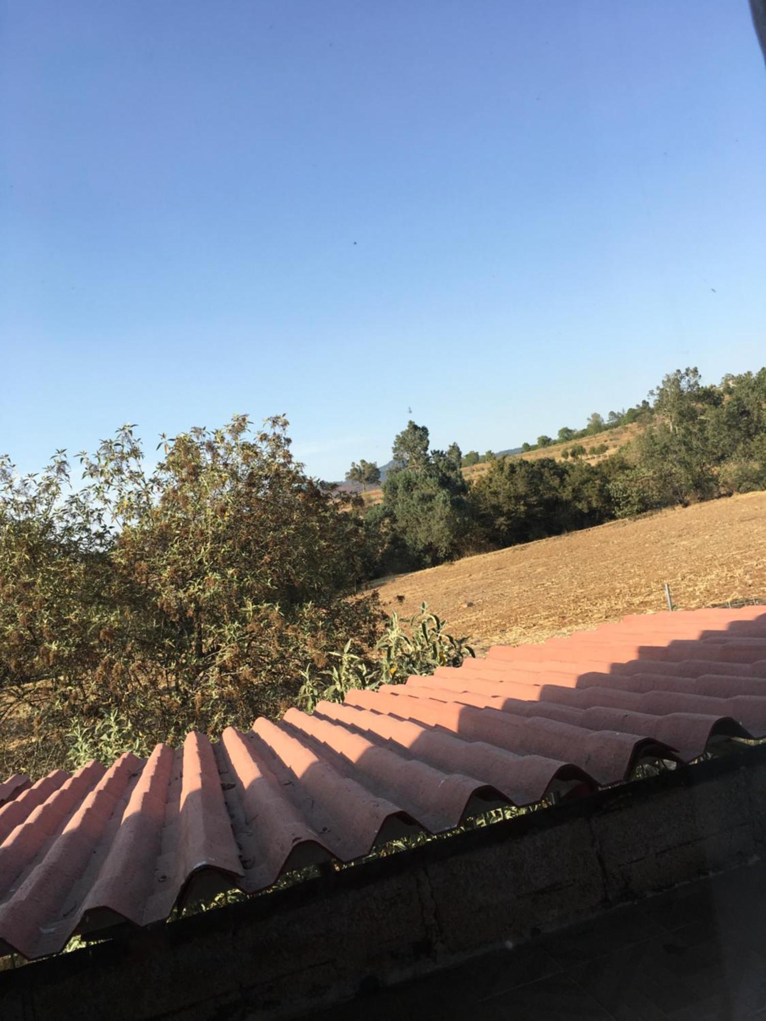 Rancho Los Alebrijes Zacatlán Eksteriør billede